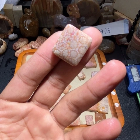 【闪购商品】硅化玉颈饰未镶嵌