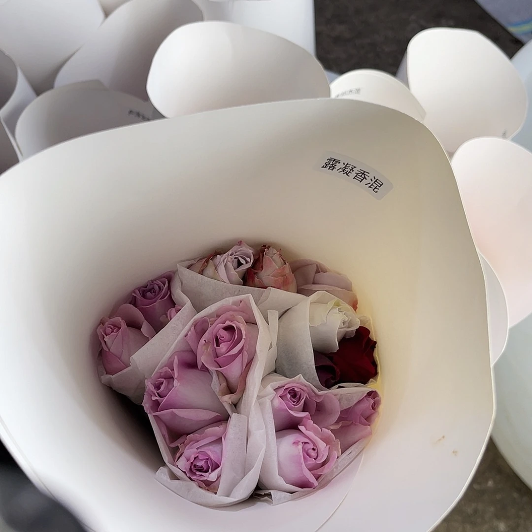 完全开放醒目（露凝香混色）一扎