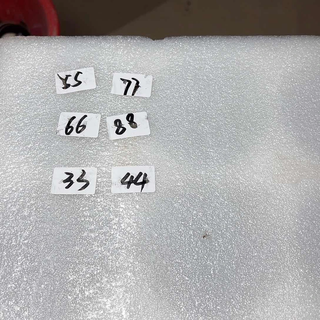 茶盏张***张青钰龙窑主人杯