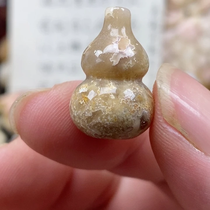 颈饰未镶嵌硅化珊瑚（珊瑚玉）没打孔 小