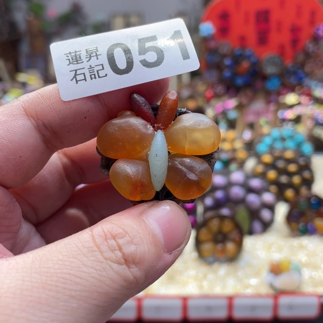 核桃木/黑胡桃（胡桃木）叶****菡051