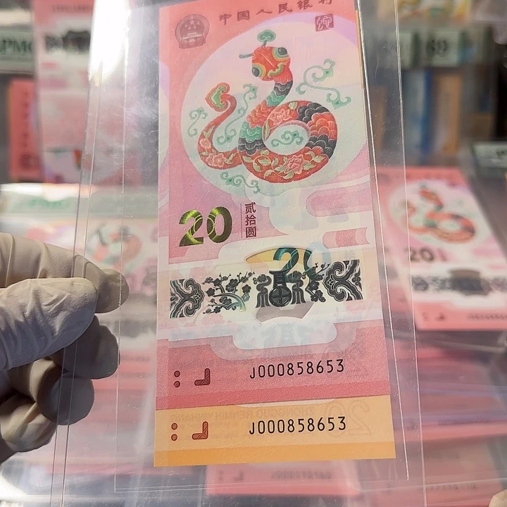 塑料000858653小司令双胞胎全同