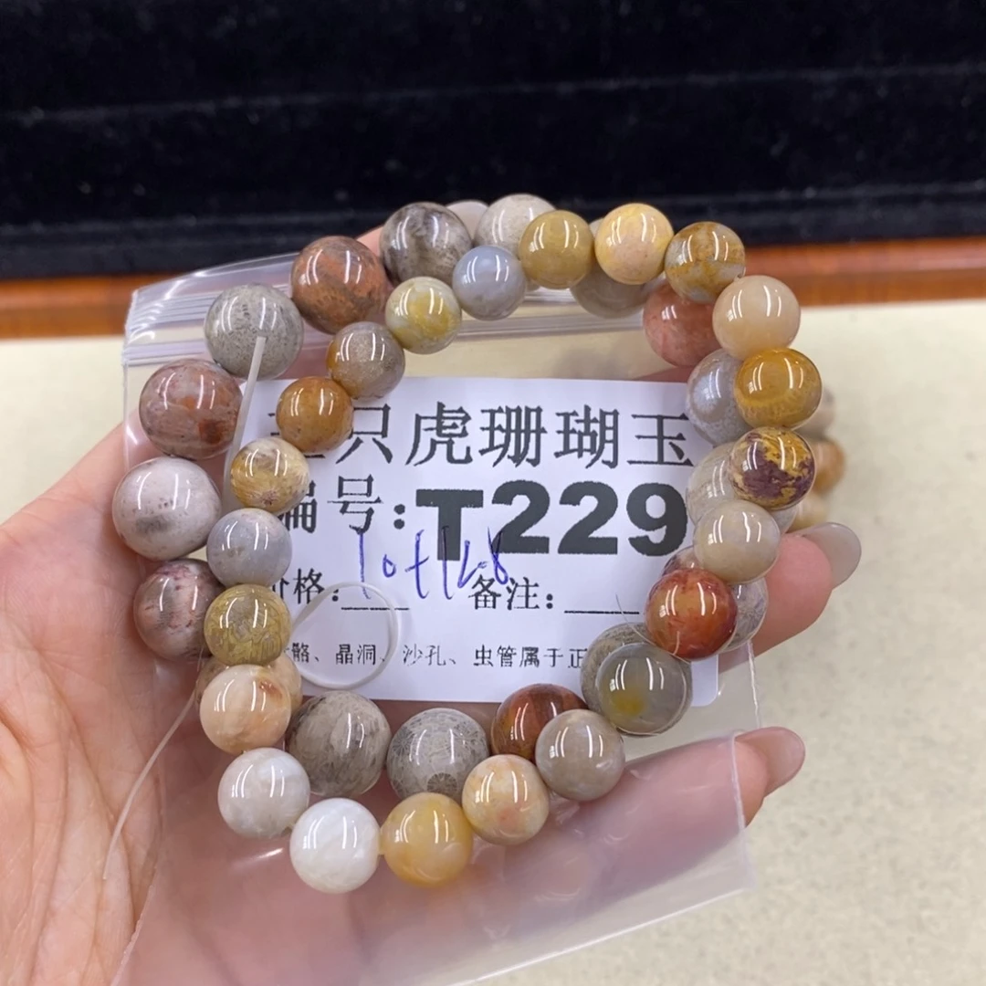 硅化珊瑚（珊瑚玉）1未镶嵌J***y