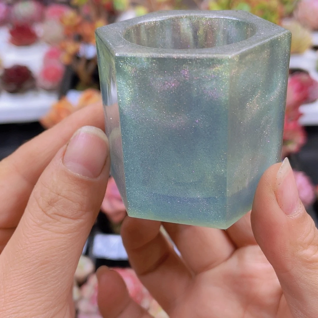 多肉无土栽培多肉植物