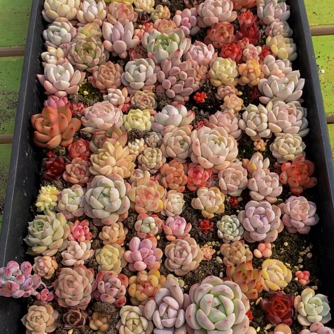 404的人生态度是一种