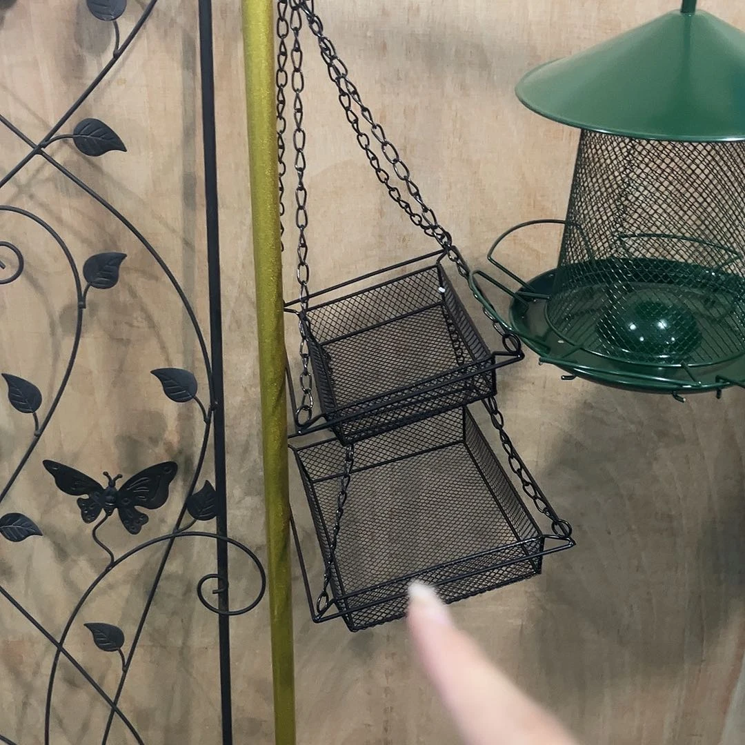 孤品给力炸炸炸炸炸炸