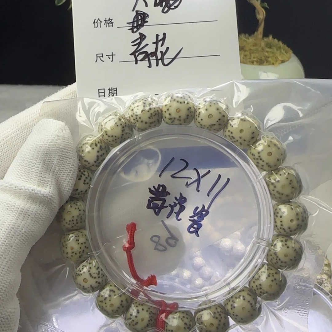 星月菩提手串F21!!!!!