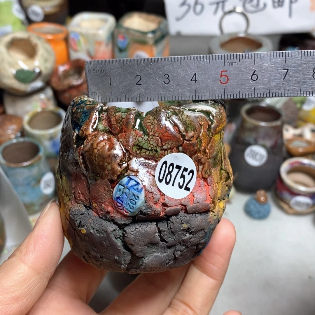 花盆拍3送一个小礼物