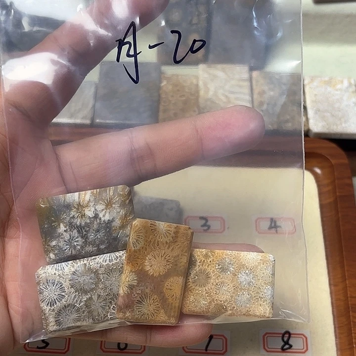 落***上未镶嵌颈饰硅化玉11122333
