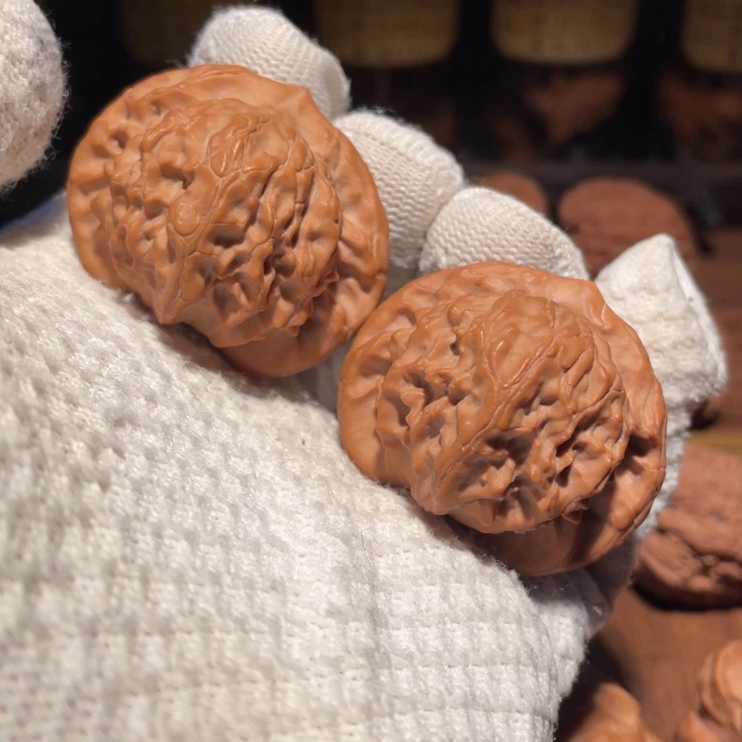 核桃44图图mmmmmmm