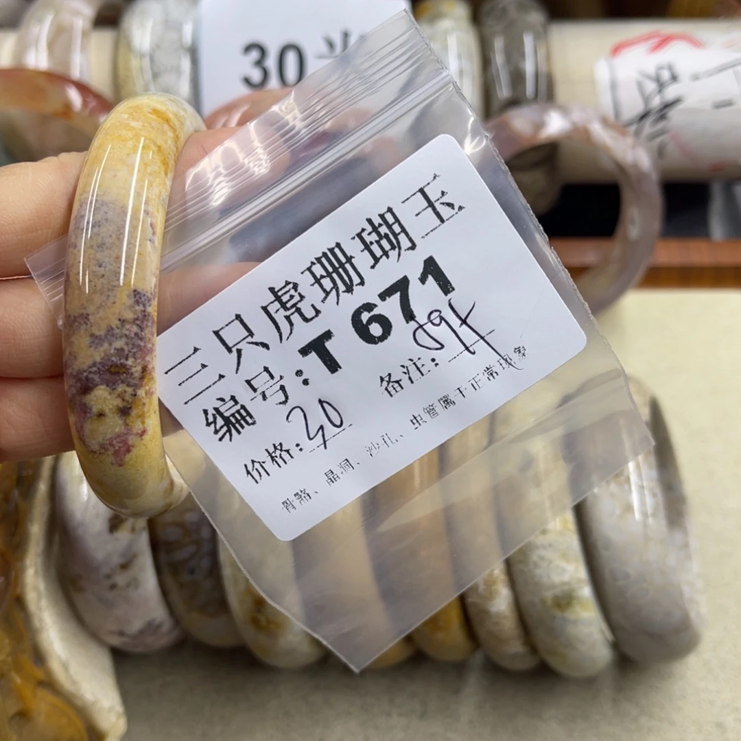 凯***粒硅化珊瑚（珊瑚玉）未镶嵌h