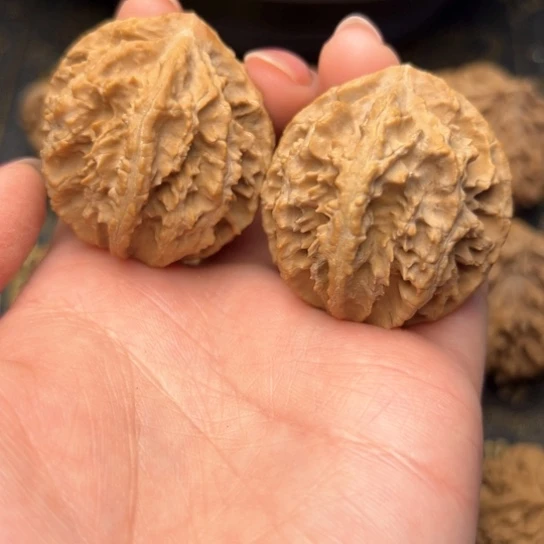 文玩核桃把件秦岭核桃13