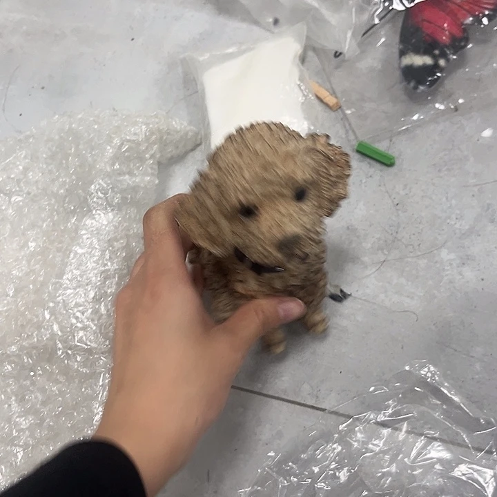 孤品给力炸炸炸炸炸炸