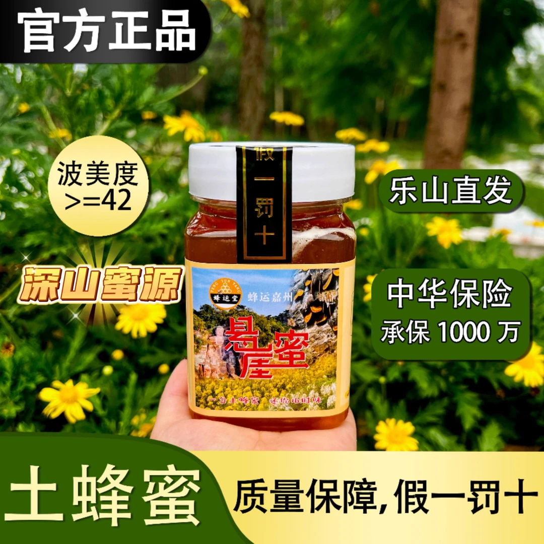 【培培专属】乐山悬崖土蜂蜜 500g 采自深山森林  拍一发二到手2斤