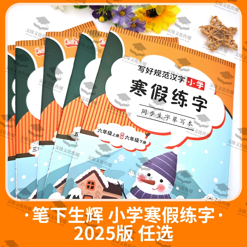 保证正版2025新笔下生辉语文小学寒假练字学期衔接假日必备
