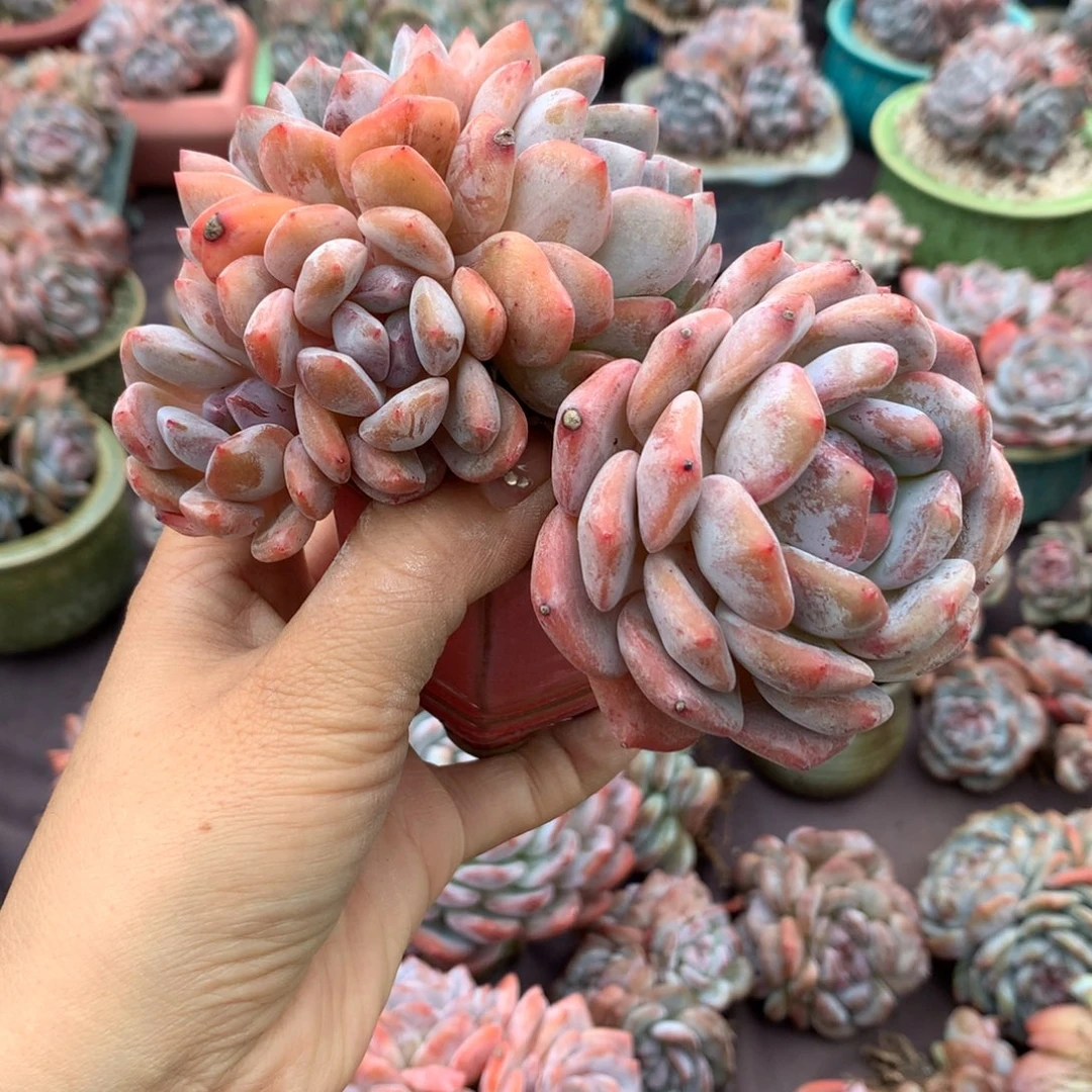 哈哈哈哈哈哈哈哈哈哈哈