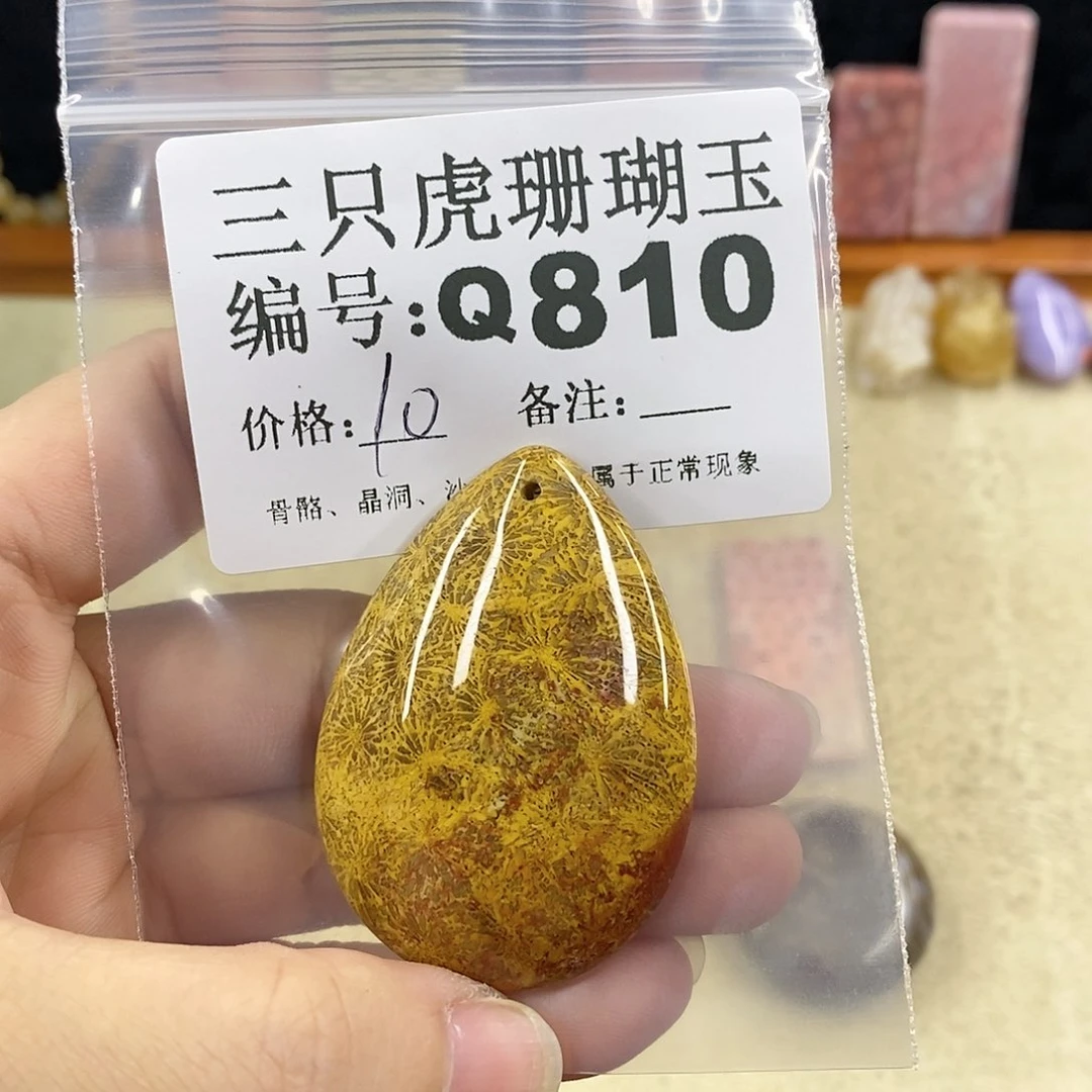 硅化珊瑚（珊瑚玉）1未镶嵌永*