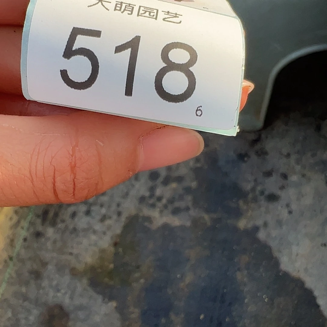 如***道0000518 一物一拍脱土发