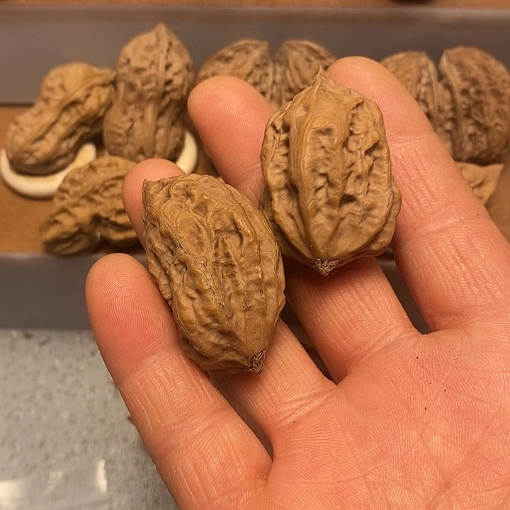 文玩核桃吊坠不错