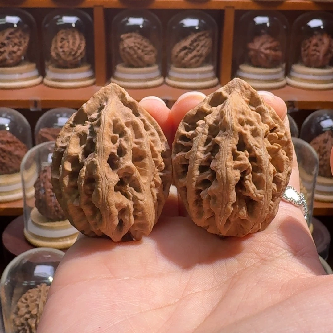 把件文玩核桃红珊瑚