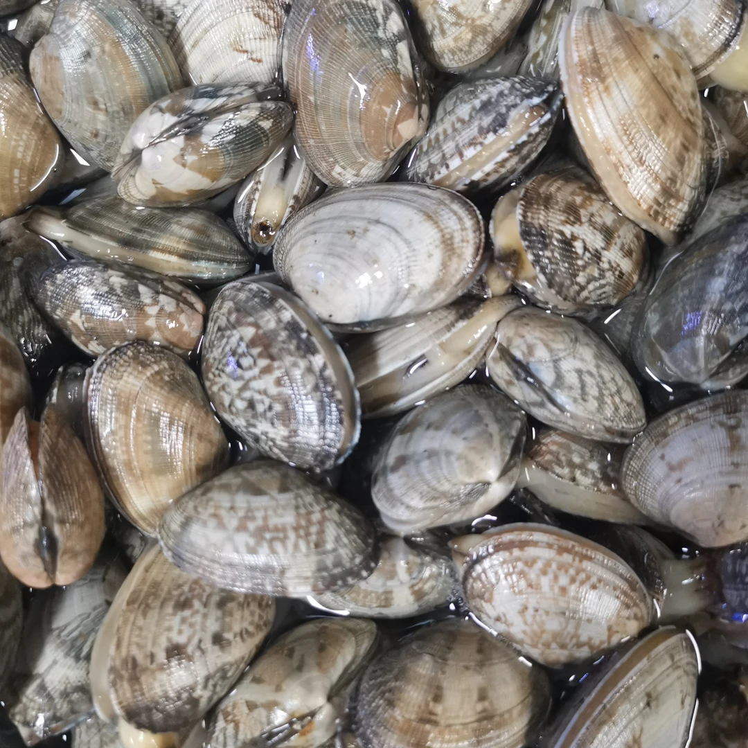 鲜活大花甲 500克/份