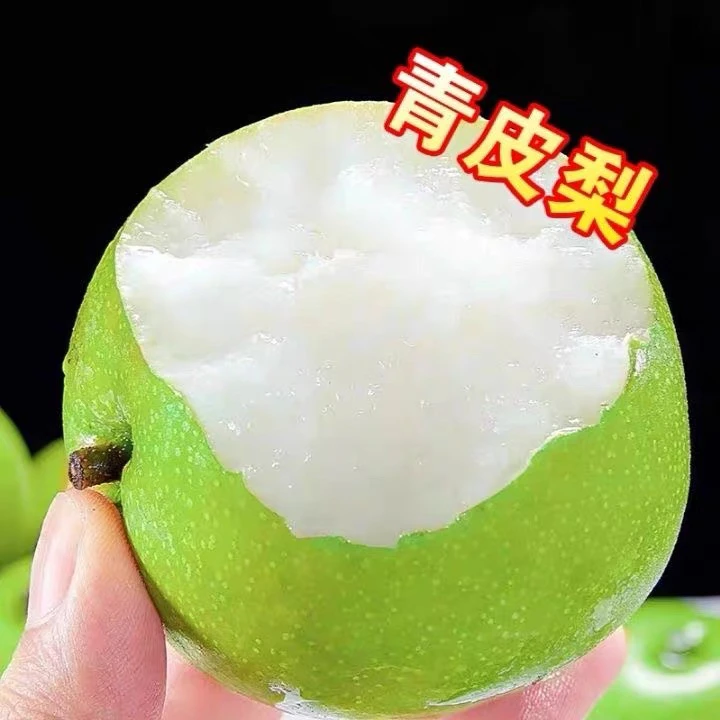【新鲜发货】2025年湖北翠玉翠冠青皮梨子水嫩爆汁当天采摘5斤包邮