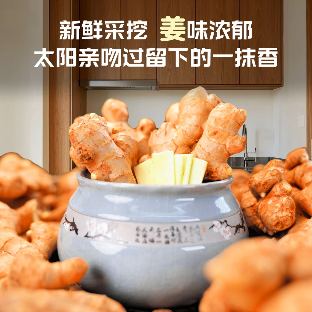 （官方）山东大姜，高山老姜，鲜姜出口品质老黄姜，现挖现发