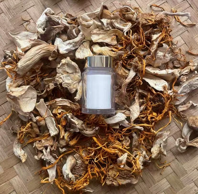 （土特产枫子专属YH660）重量14克