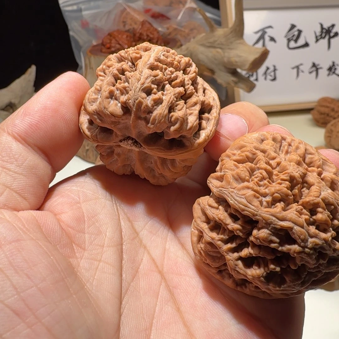 文玩核桃把件珈*大粗筋