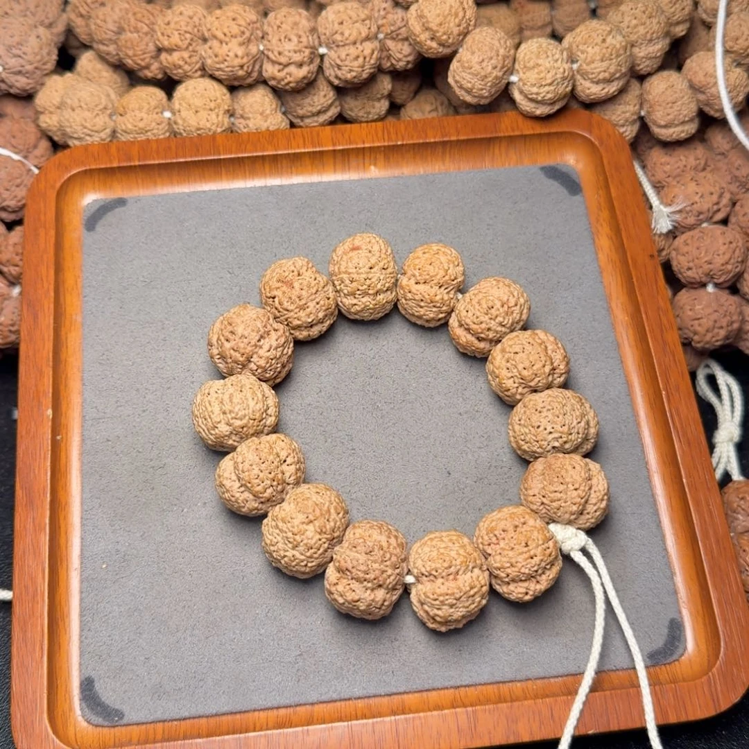 4号尼泊尔大金刚35五星熊猫菠萝蜜