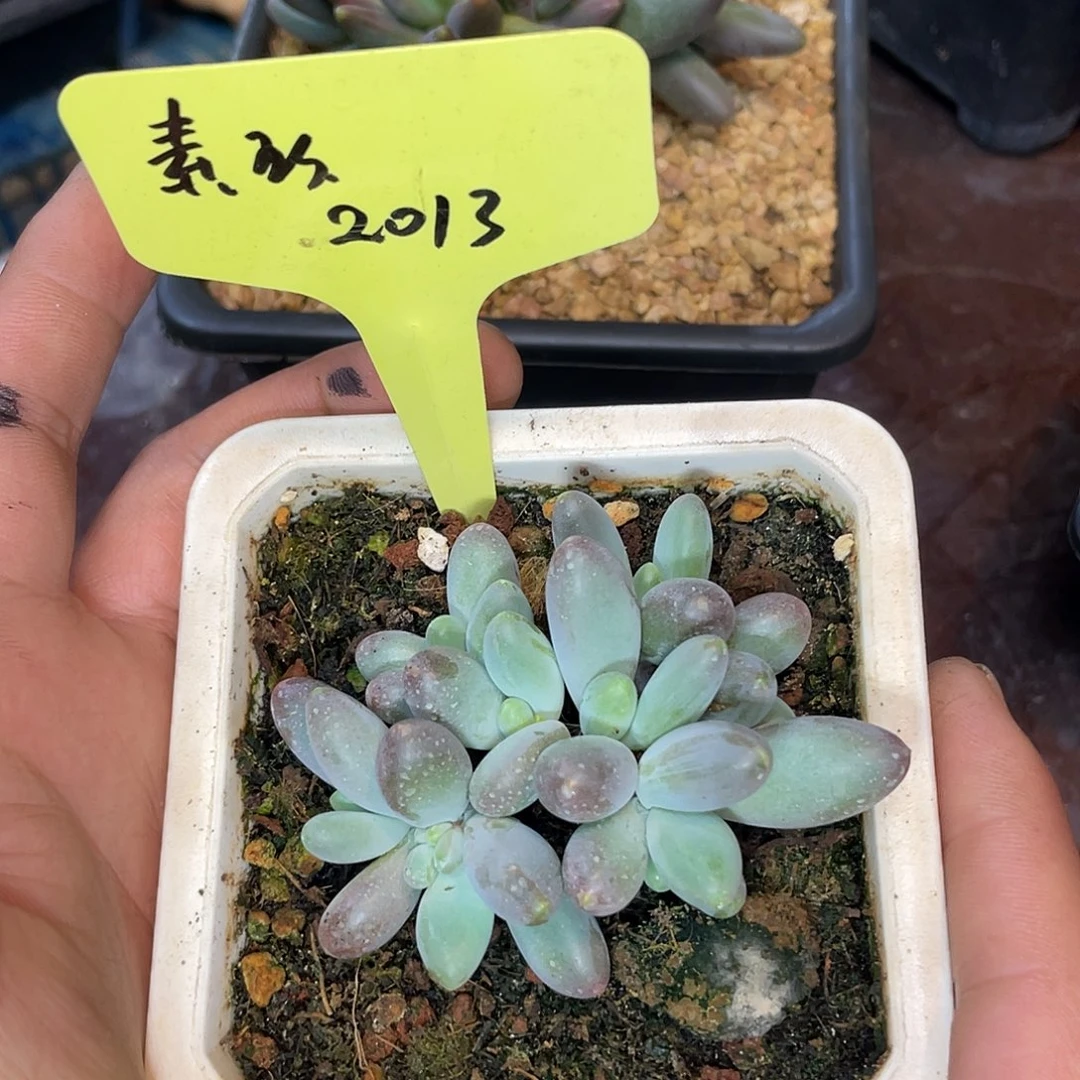在干嘛，不说这些我不说1013