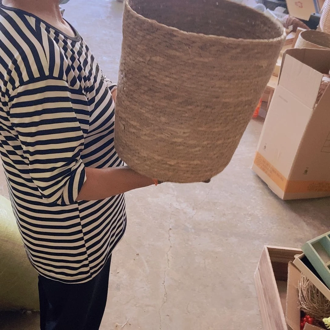 密码牛津纺极兔126
