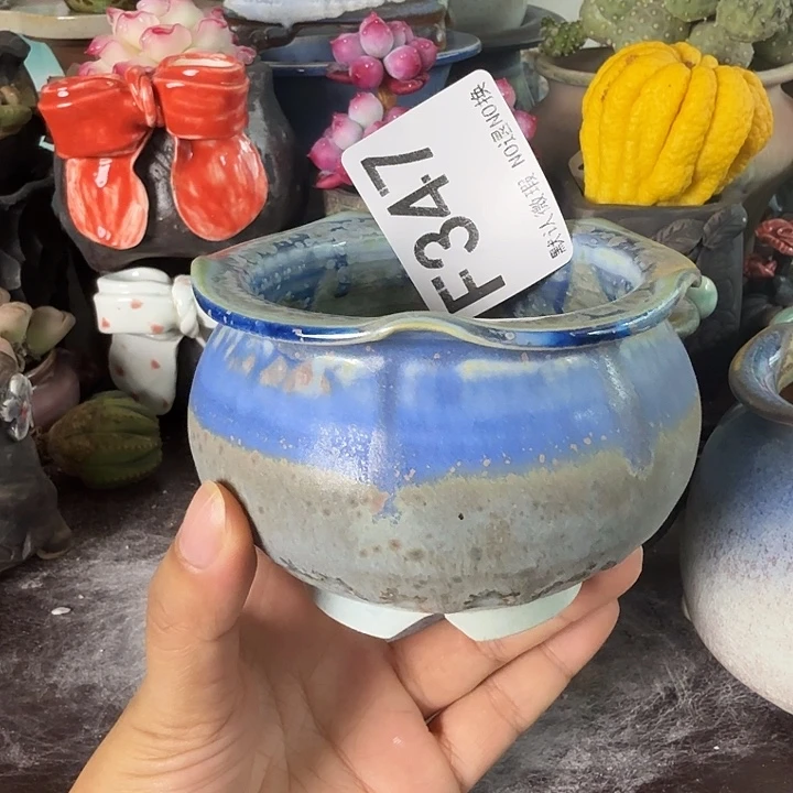 重庆小燕子欢迎大家347