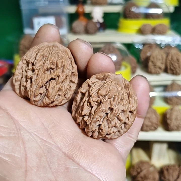 空***灵39尺寸红皮麦穗虎头