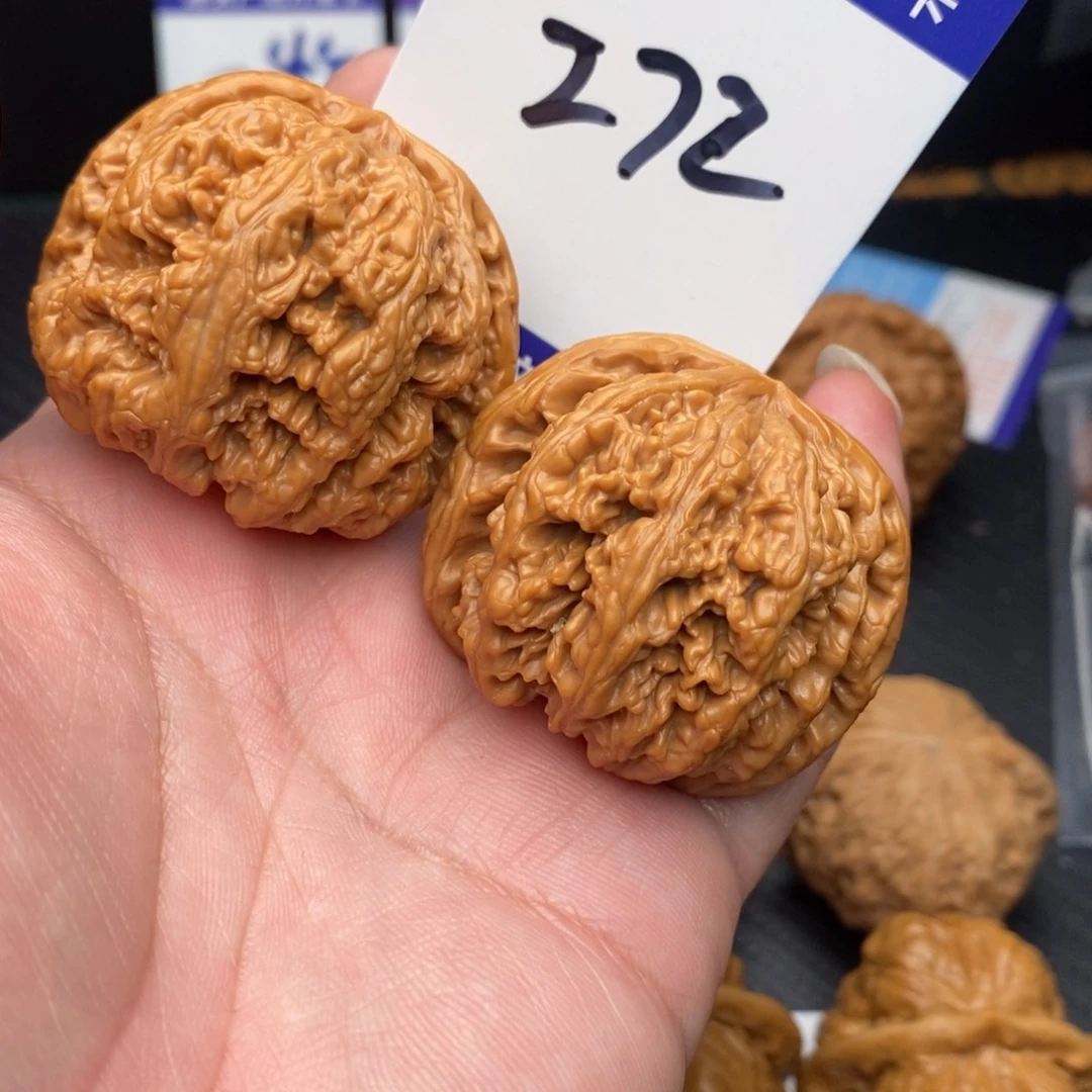 核桃粗筋42nomnom
