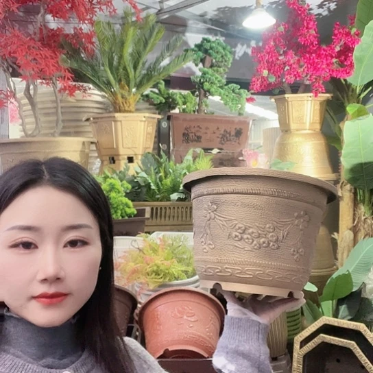 复合梅花30盆10个有孔