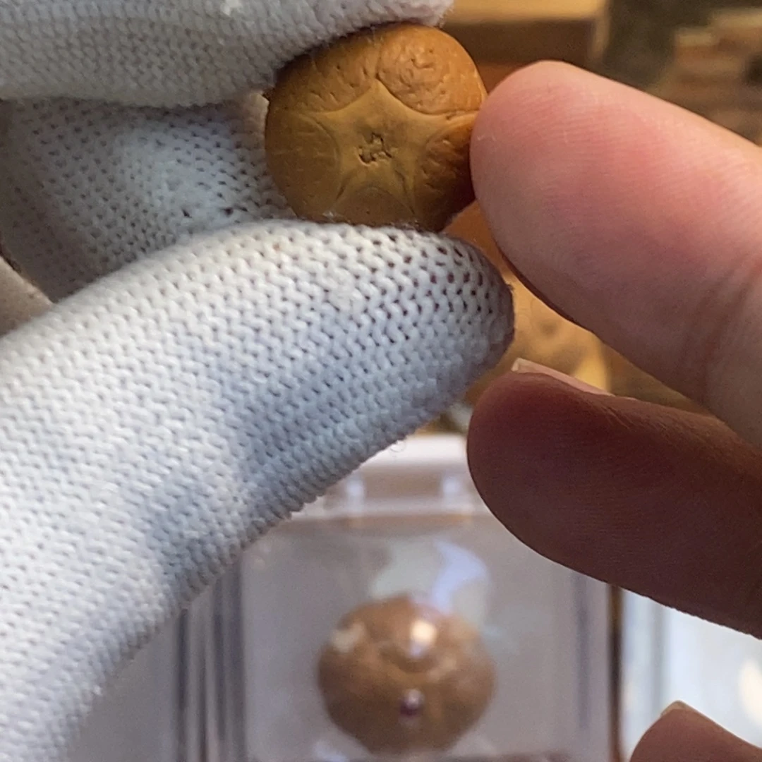 吊坠凤眼菩提15.3五星单颗