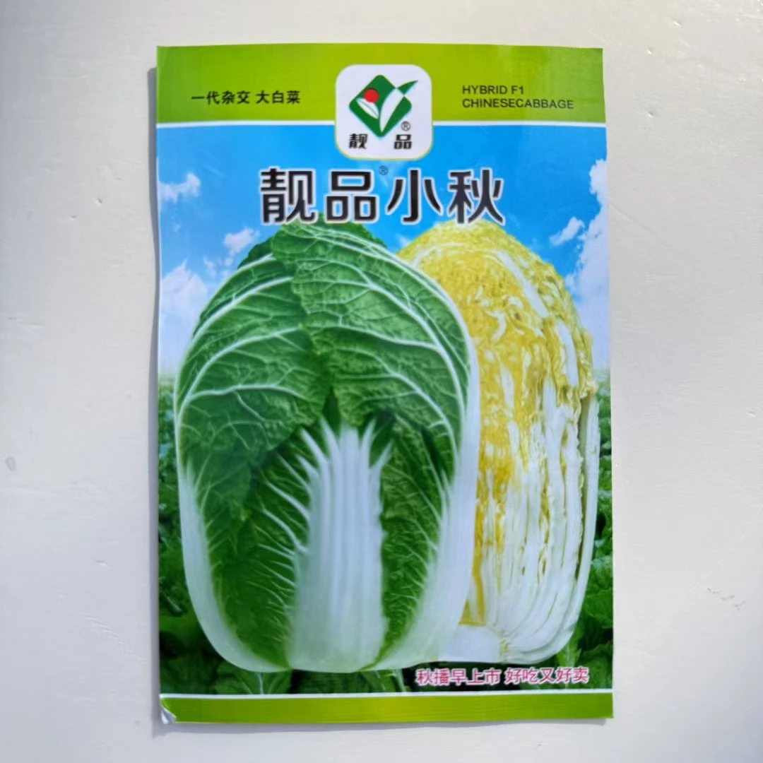 靓品小秋黄心大白菜种子蔬菜上市早好吃好卖高产抗病耐储基地秋播