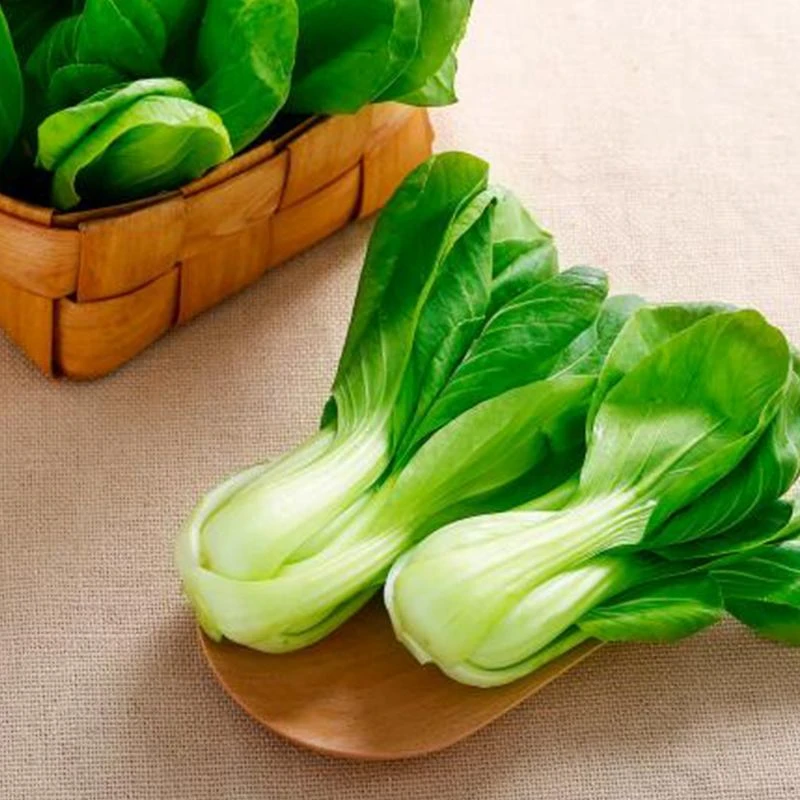 精品新鲜小油菜200g