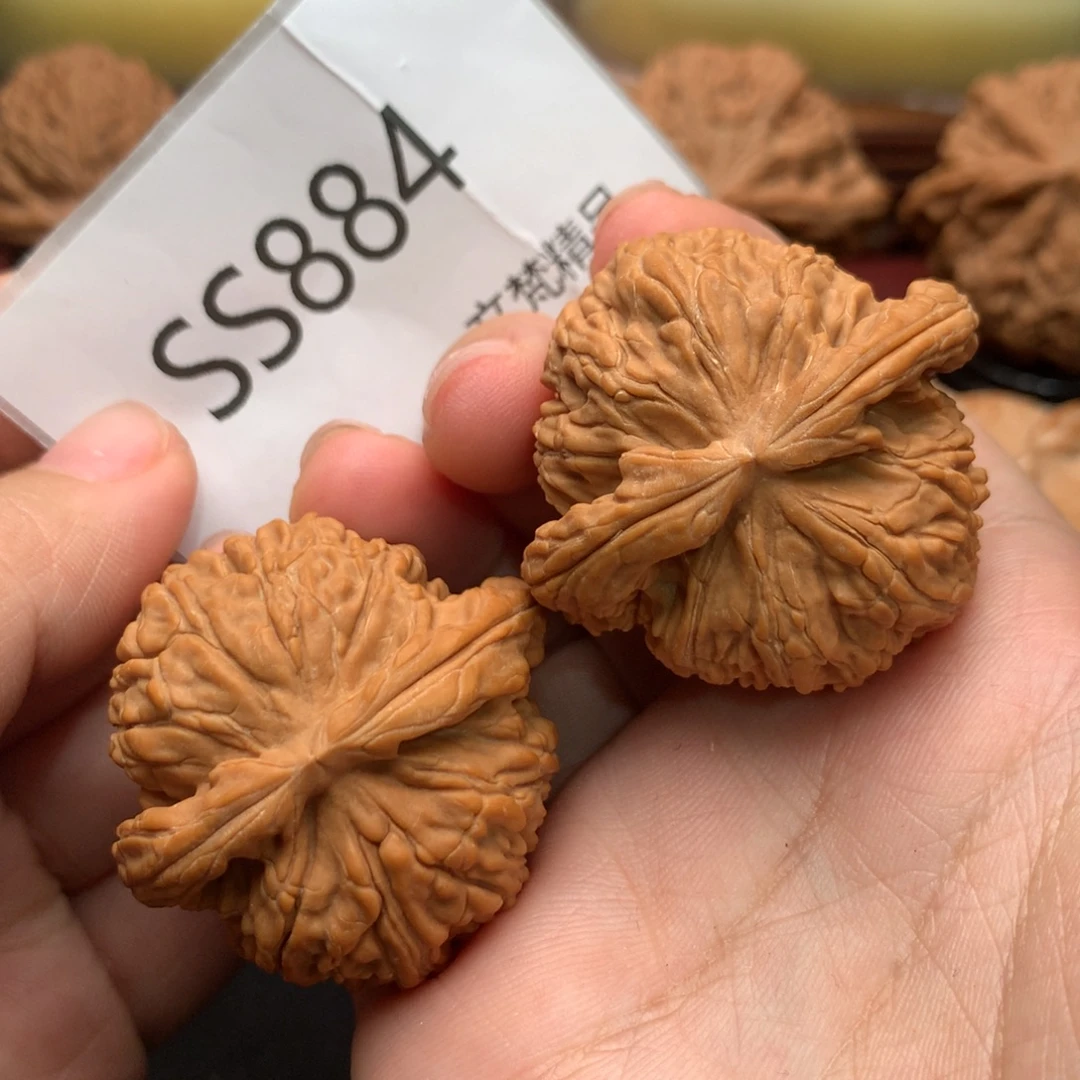 把件文玩核桃全品白狮子40