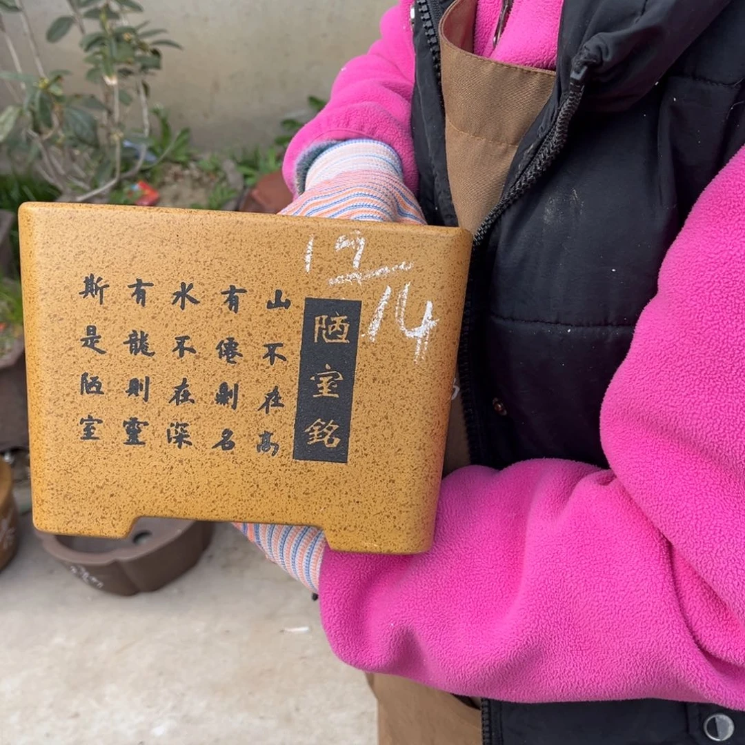 紫砂花盆盆景艺术