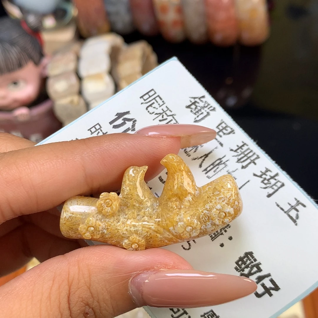 【闪购商品】颈饰未镶嵌硅化珊瑚（珊瑚玉）迷***人