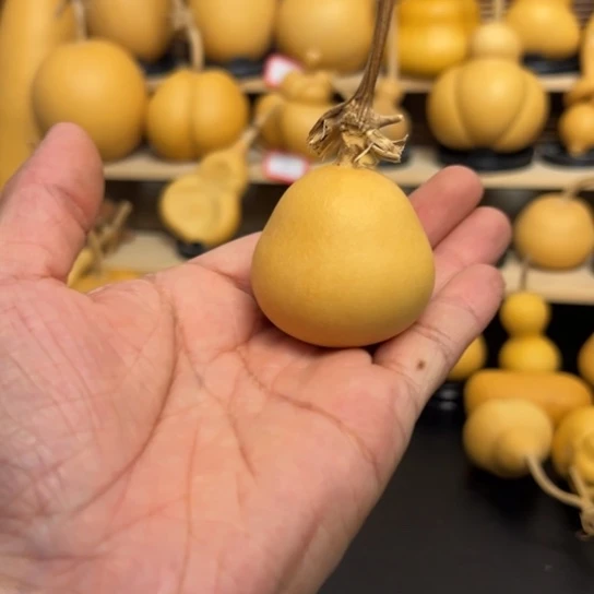 孟*1559999988986999