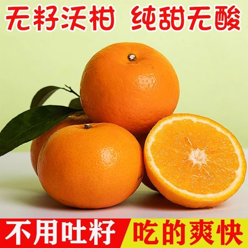 正宗无籽沃柑产地新鲜采摘直发清香爆甜多汁自种柑橘