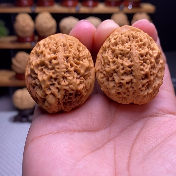 木质类云铁七星绣球27号