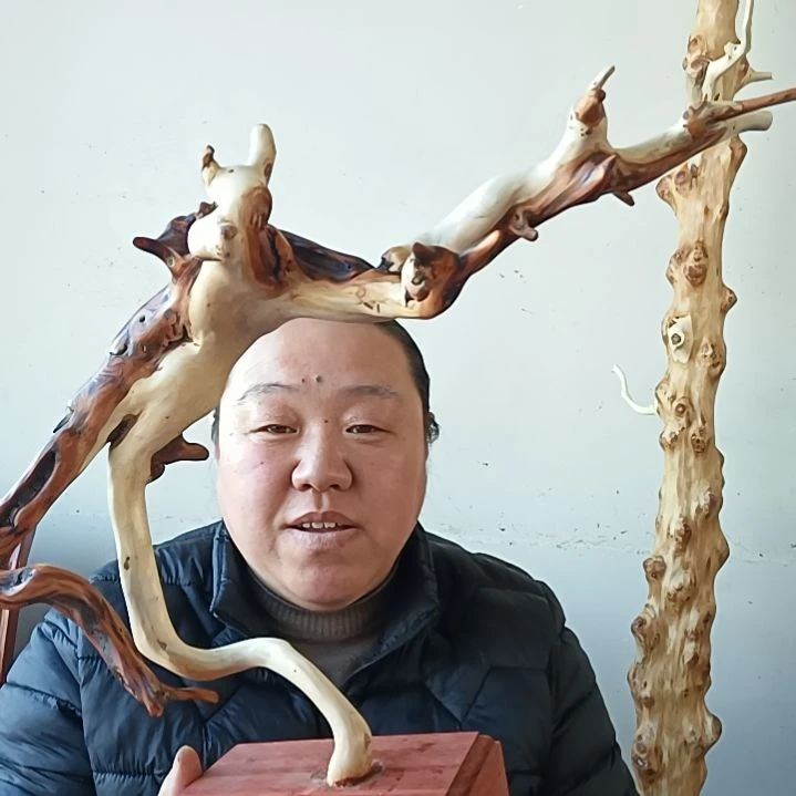 木*尔太行崖柏成品摆件