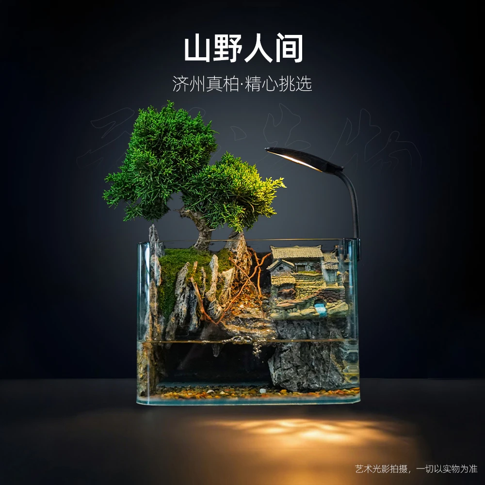 【雾隐】山野人间—带灯内循环生态流水济州针柏缸尺寸25*16*18