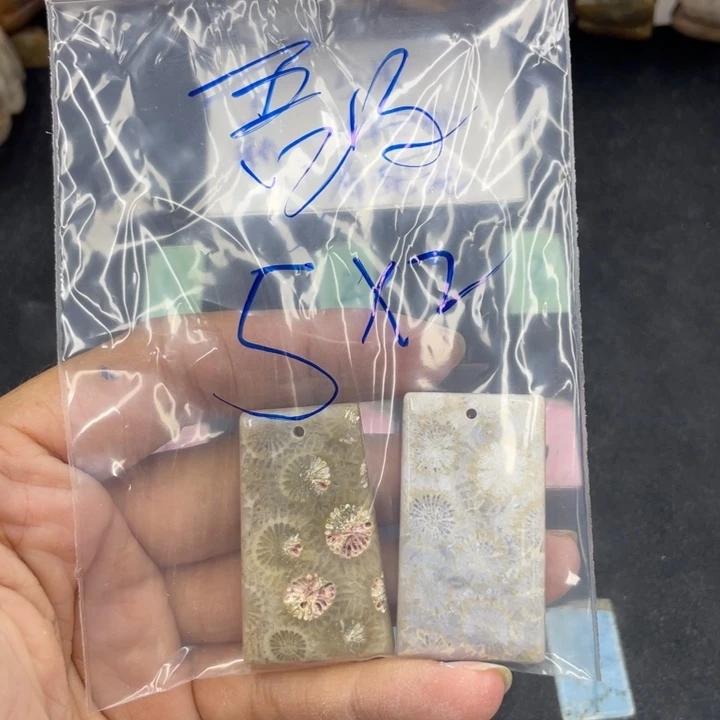 吾***子硅化珊瑚（珊瑚玉）合金颈饰