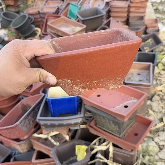 一天只喝一点奶茶一次药就是这么
