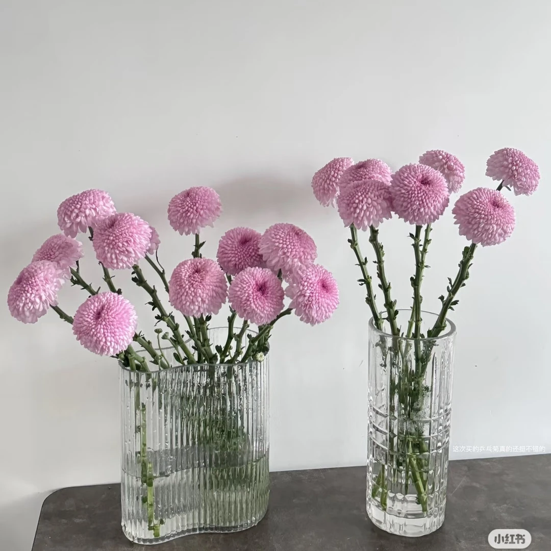 乒乓菊一扎10支左右 颜色随机  拉萨同城配送一个小时左右送到